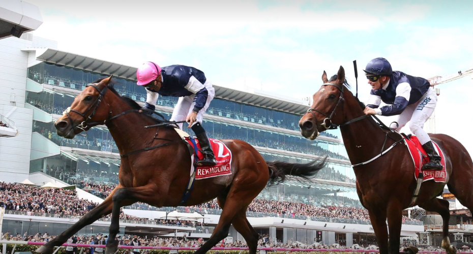 An expats guide to the Melbourne Cup